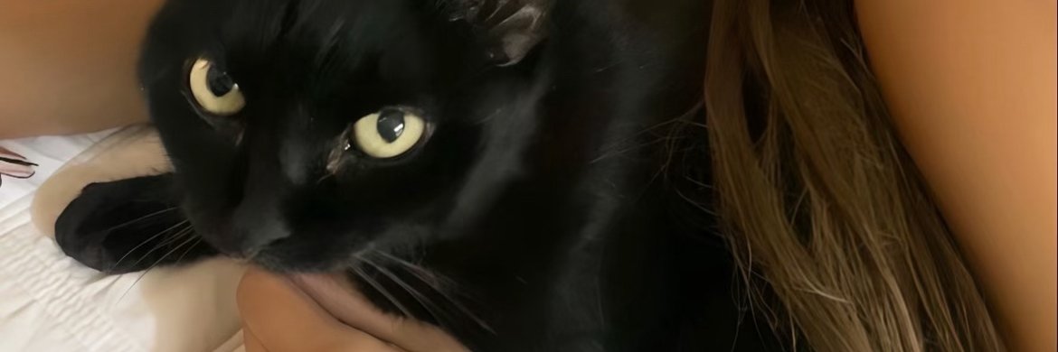 秘蜜自慰时光's banner