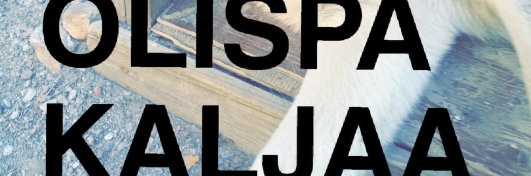 Eugene Alaköykkä's banner