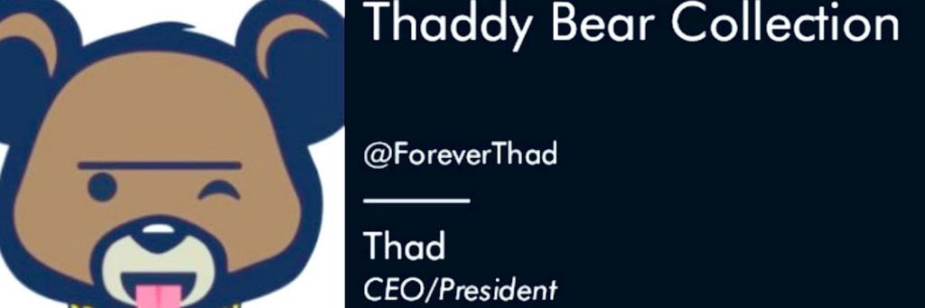 Thaddy Bear Collections 🐻's banner