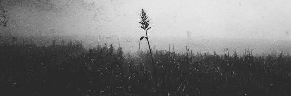 صالح السليمي 🍂's banner