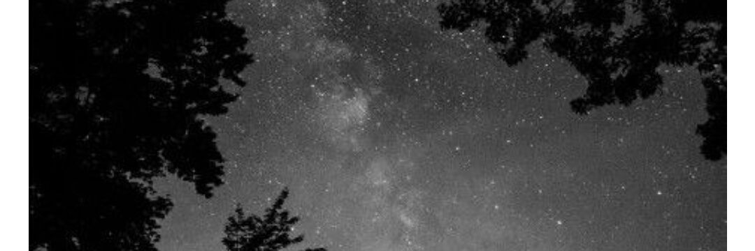 Noelia's banner
