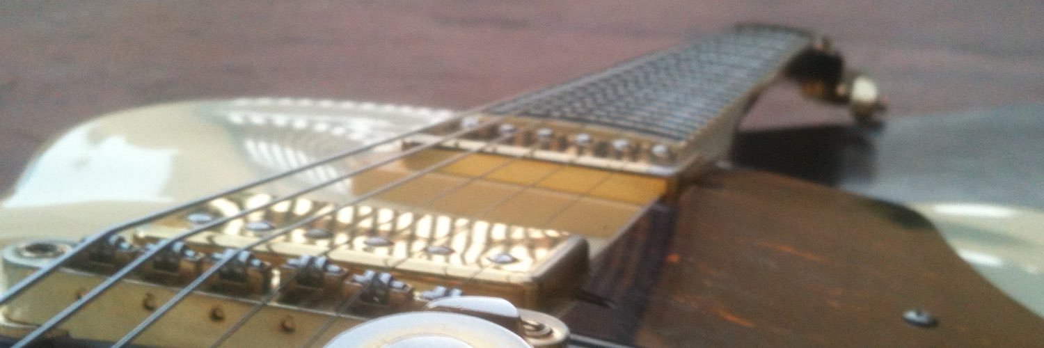 XolaniGuitars's banner
