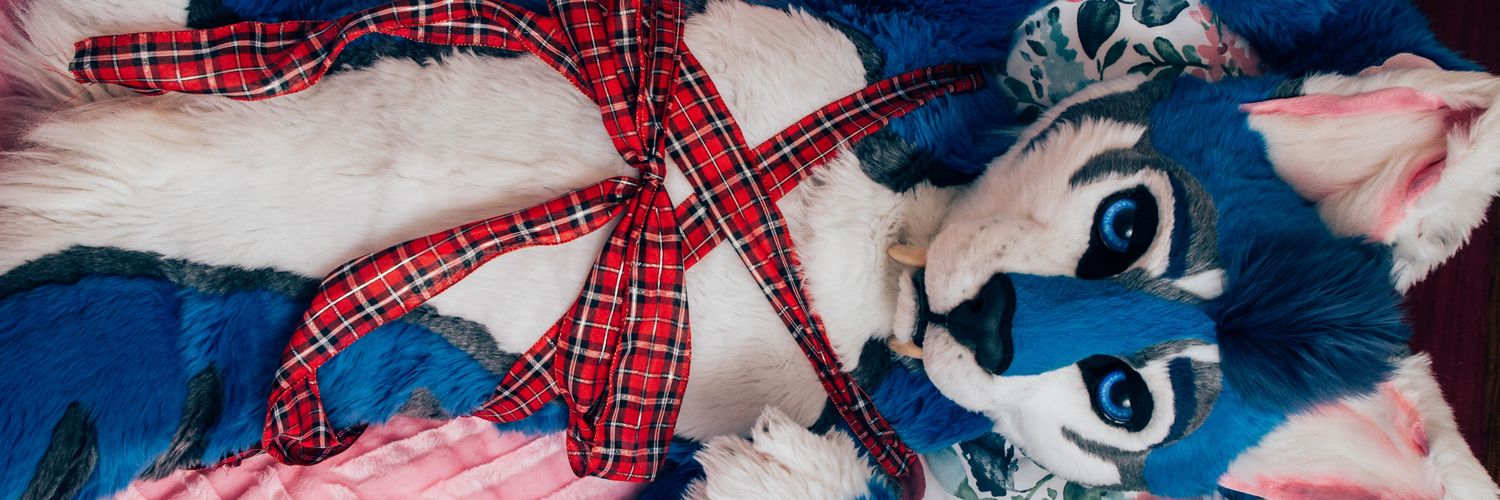Kittyboi's banner