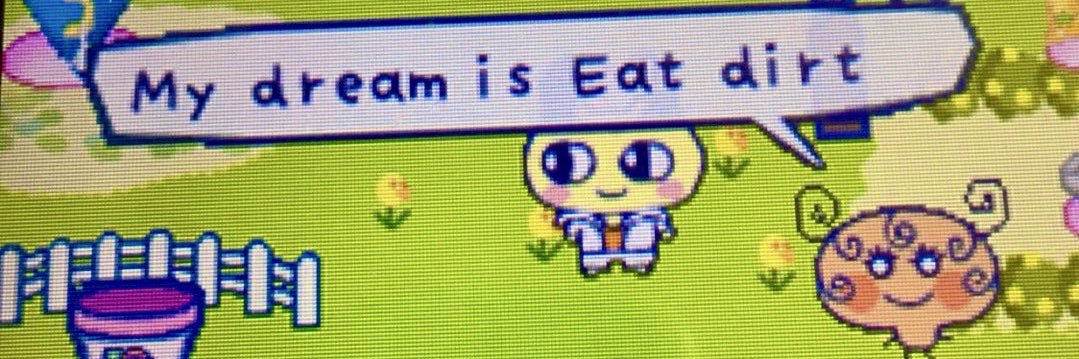 shannon⁵⁵ 🎲🍒's banner