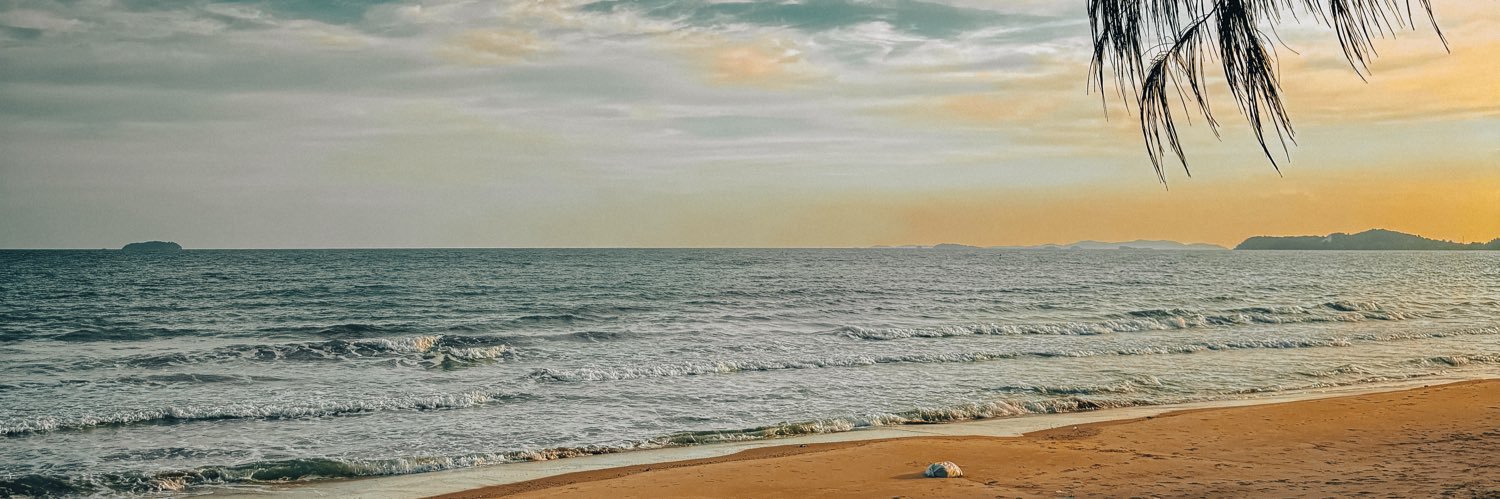 TONMAII🌳(แอคเก่า 25k)'s banner
