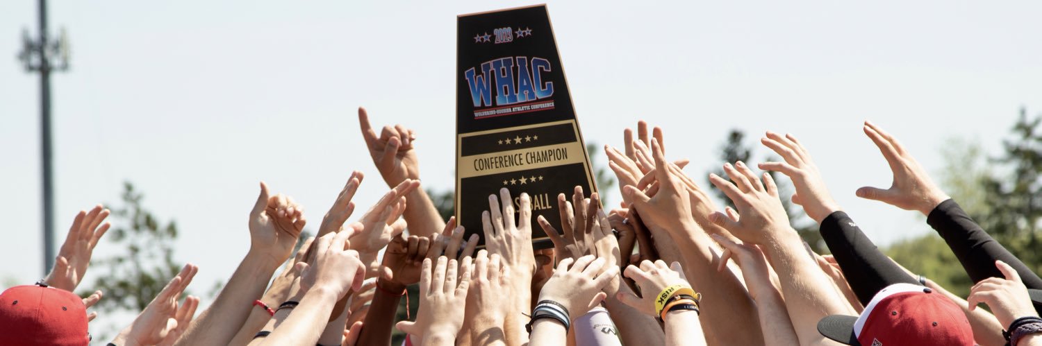 Concordia Baseball's banner