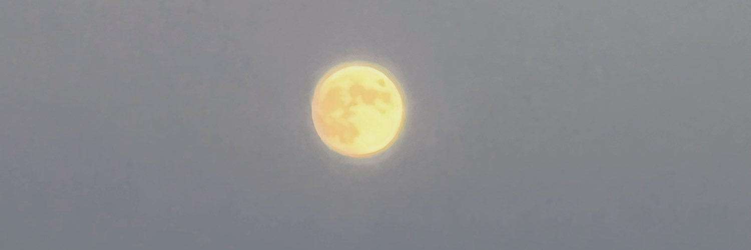 TS 槿姝's banner