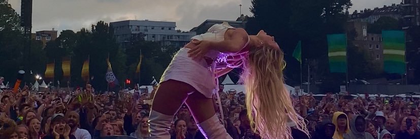 lauren's banner