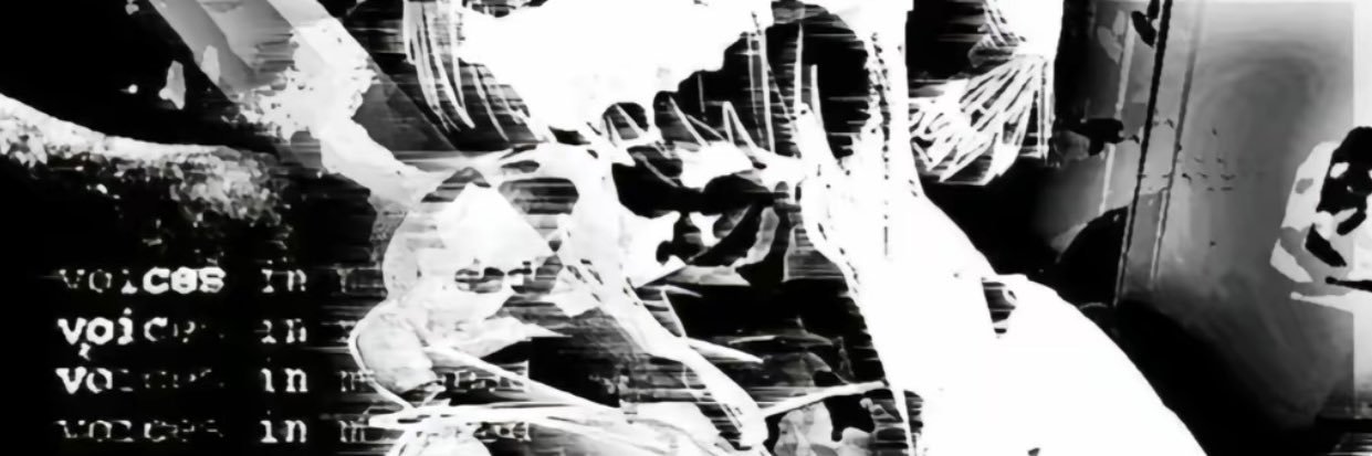 Dior's banner