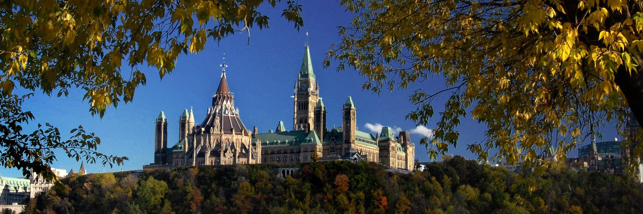 David McGuinty's banner