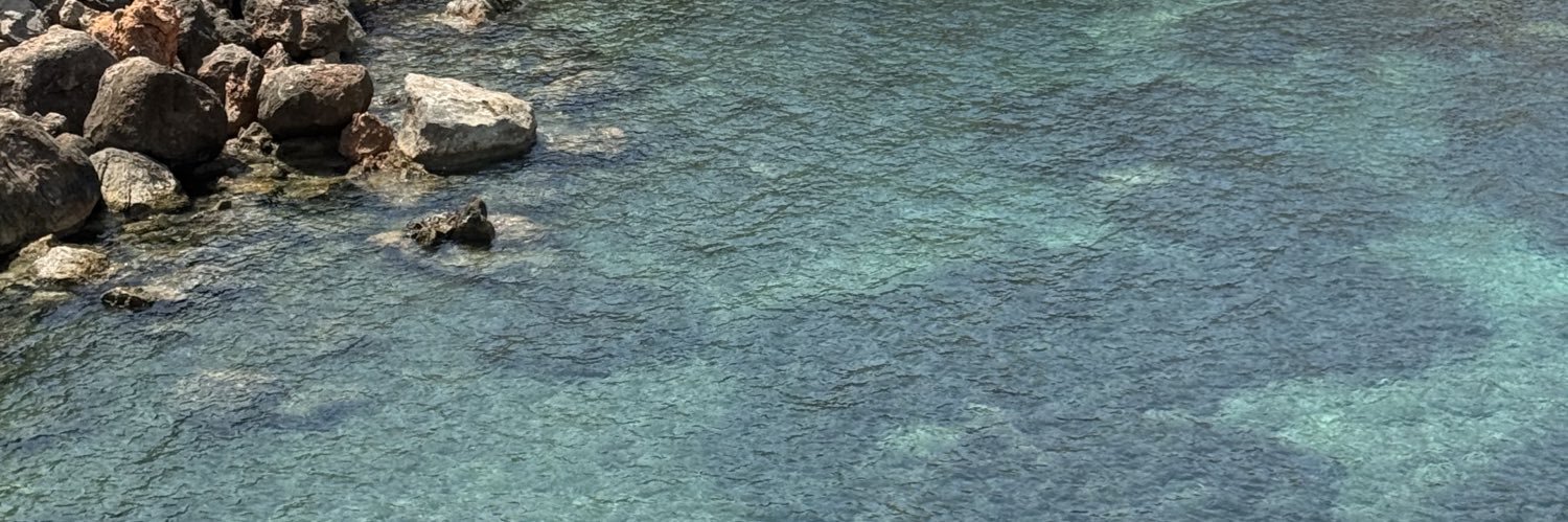 Marina's banner