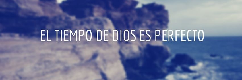 Leo's banner