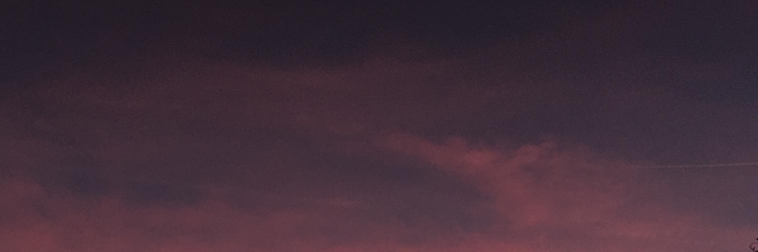 jas per's banner