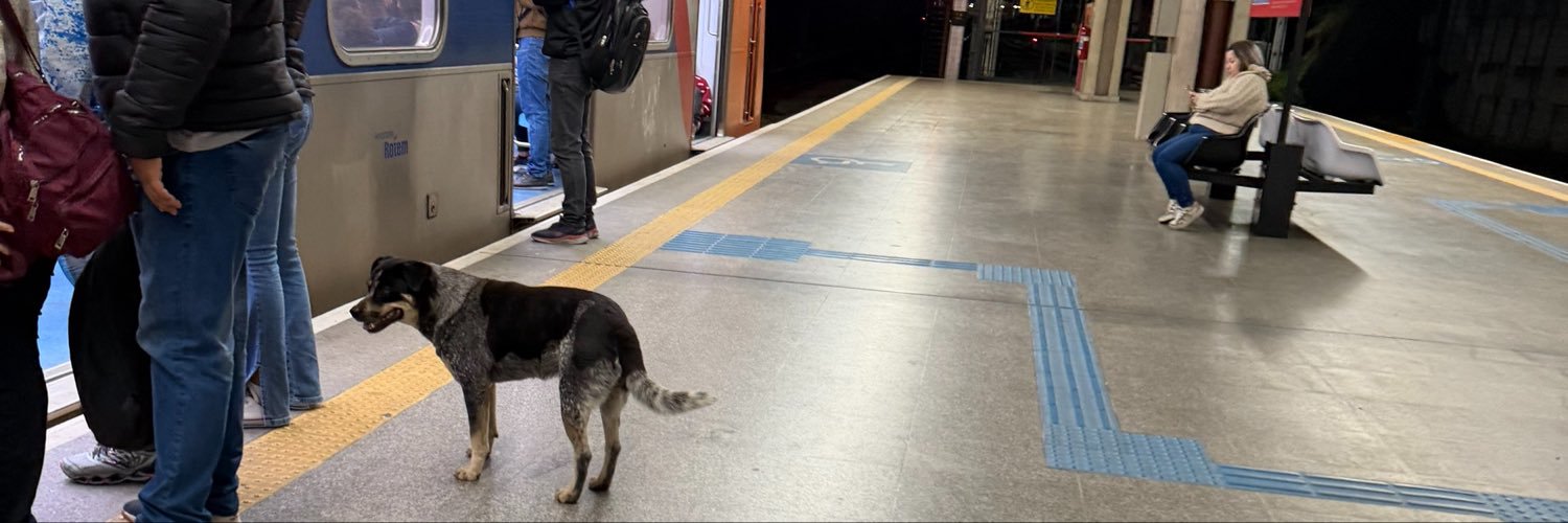 Diário da CPTM | SP 🇧🇷's banner