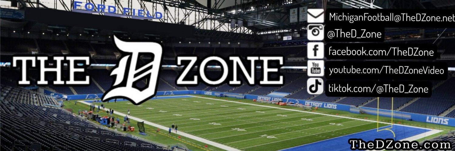 The D Zone's banner