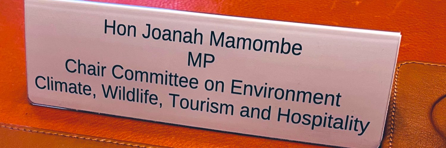 Joanah Mamombe MP's banner