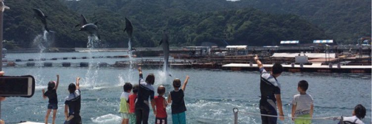 つくみイルカ島【公式】's banner