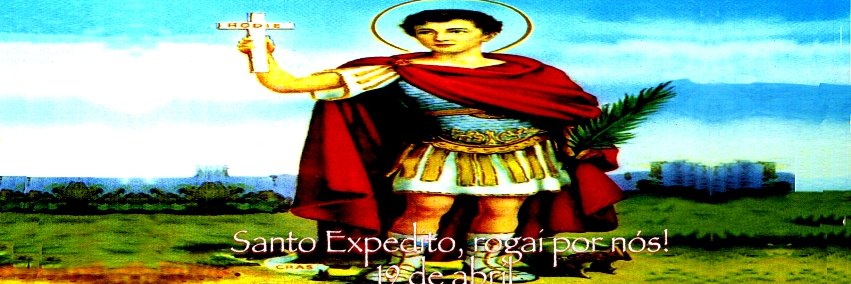 Vera Martins's banner