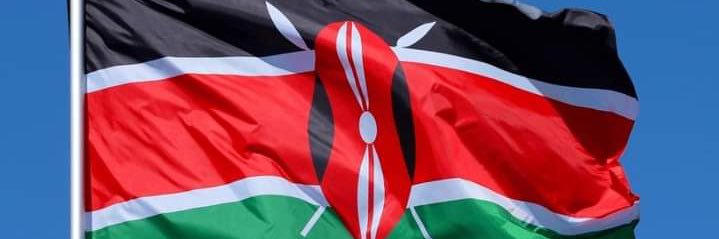 Hon. Steve Mbogo's banner