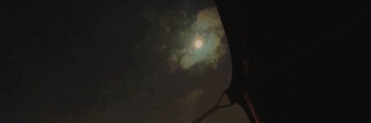 احمد بن شمروخ's banner