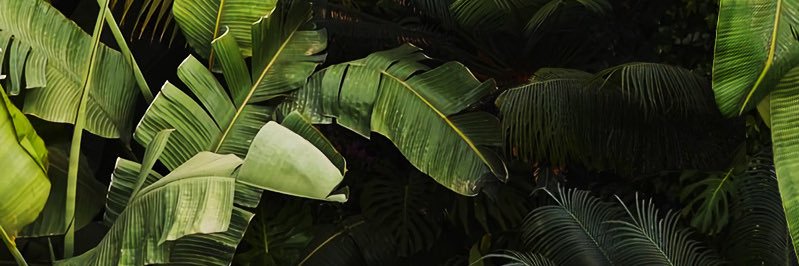 Dēdric.'s banner