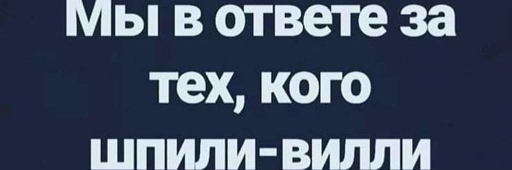 Вилли Шпили's banner