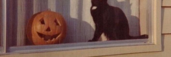 lauren ꕤ saw ari's banner