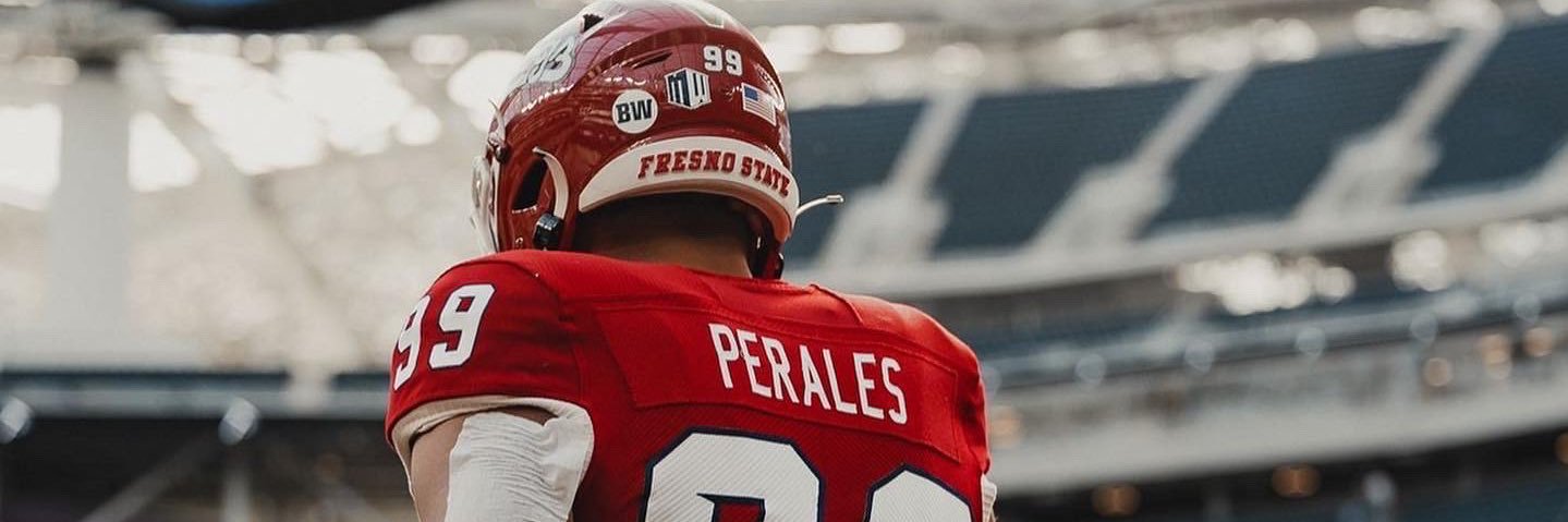 David Perales🌪's banner