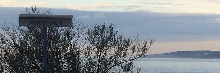 Angelica Lundberg 🇸🇪's banner