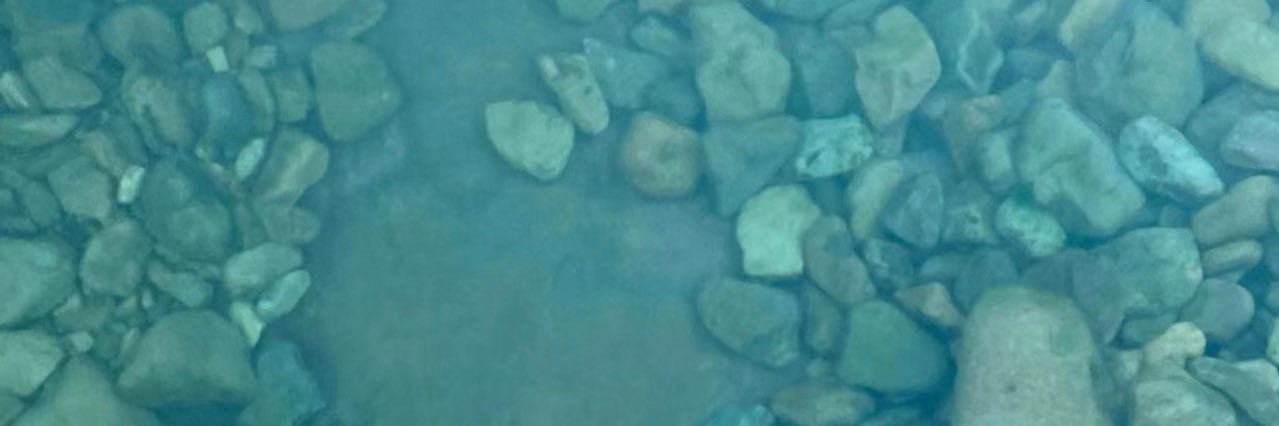 羽欣's banner