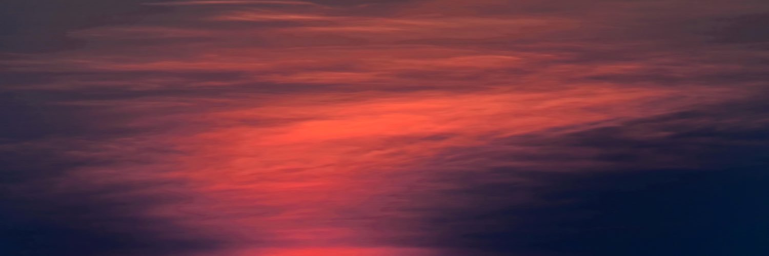 Sander de Hosson's banner