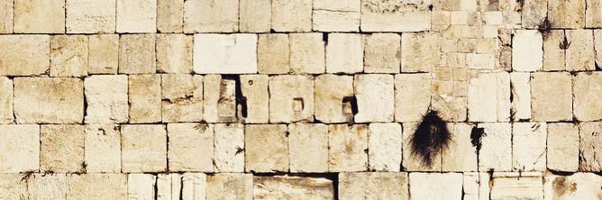 Rochel Leah Boteach Taktuk's banner