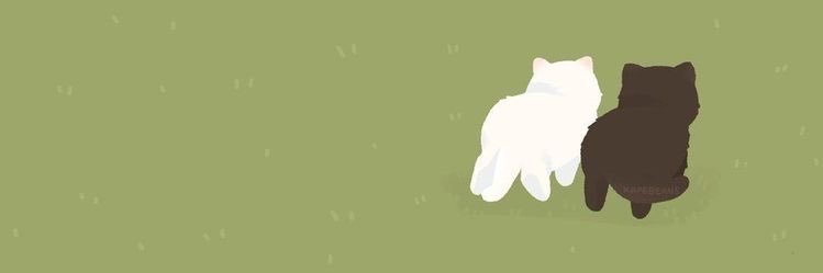 บียูเอสที🐈‍⬛'s banner