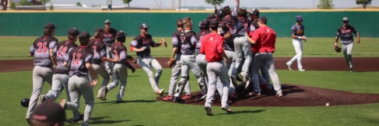 Red Devil Baseball's banner