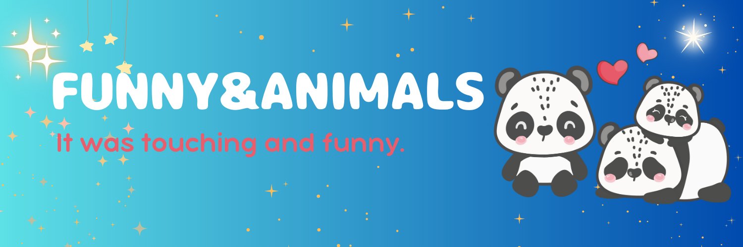 Funny & Animals's banner