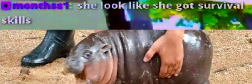 Nyxpip's banner