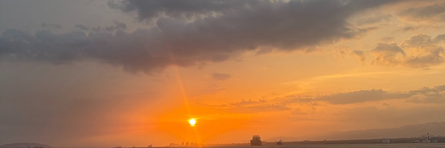 Swvnk's banner