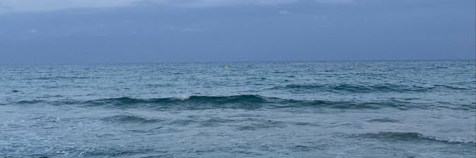 elyse.'s banner