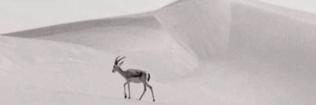 عبدالرحمن حدادي's banner