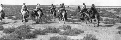 عارف الفتح's banner