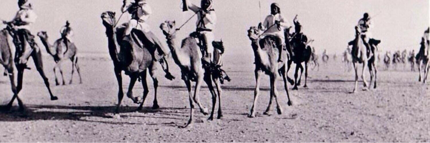العربي الأخير-مخ تلف's banner