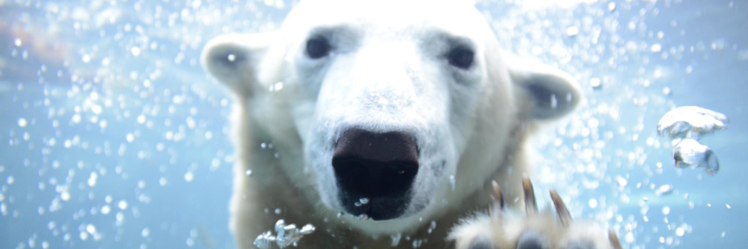 札幌市円山動物園（公式）'s banner