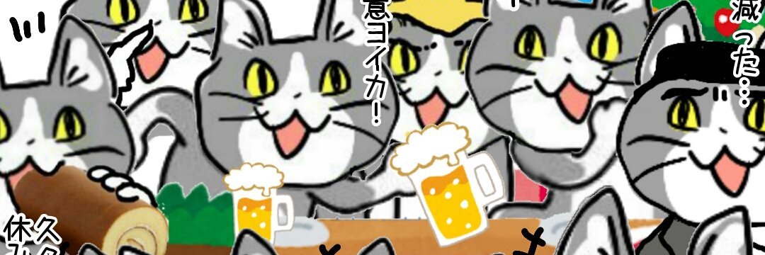 まいと（🐱）'s banner