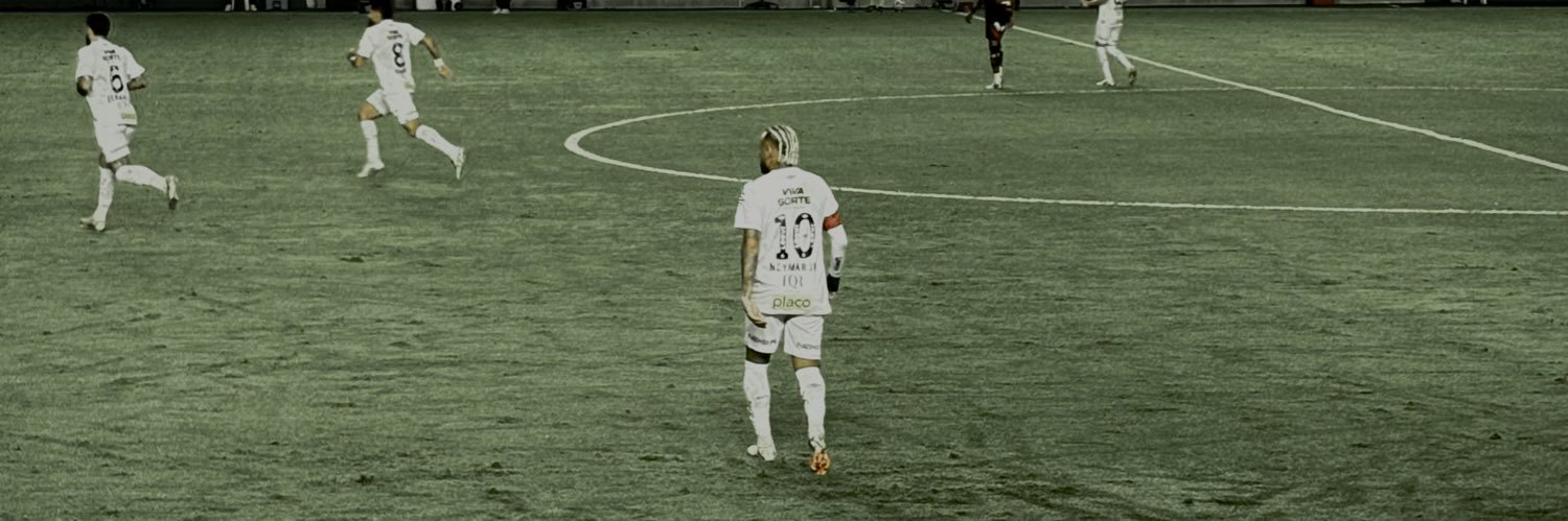 bini's banner
