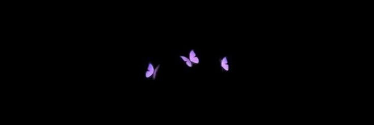 nad⚡️'s banner