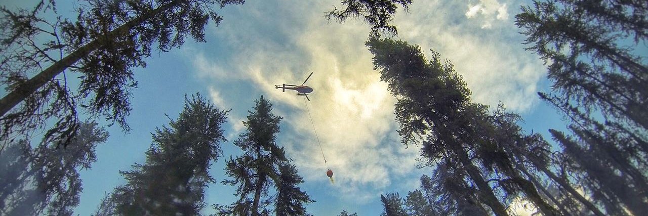 Alberta Wildfire's banner