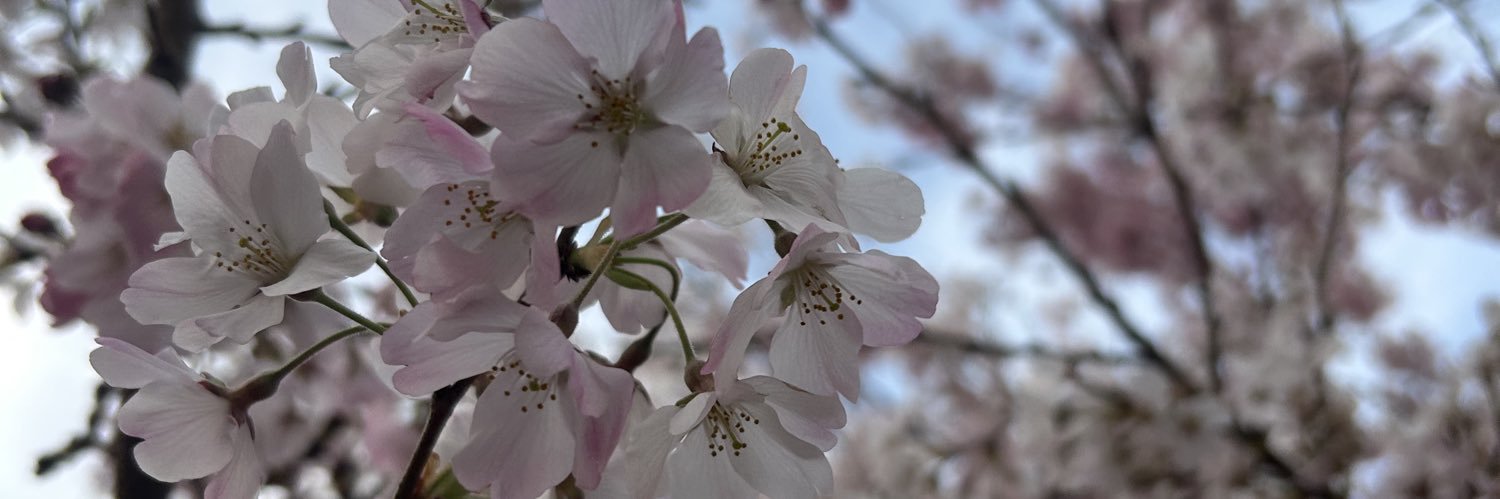 田中晃平's banner