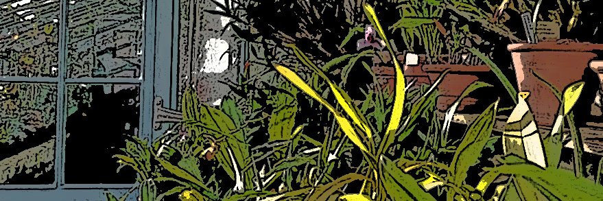 El Jardín de Charles's banner