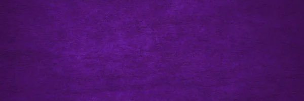 Camila Avilés Barraza's banner