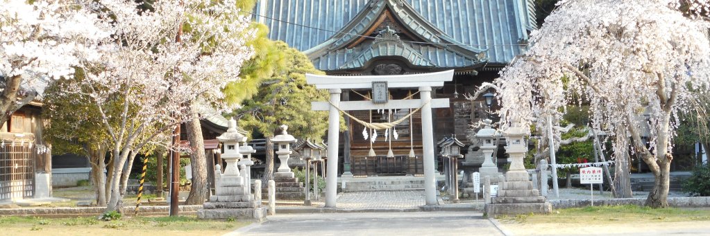 としのりさんⅡ's banner